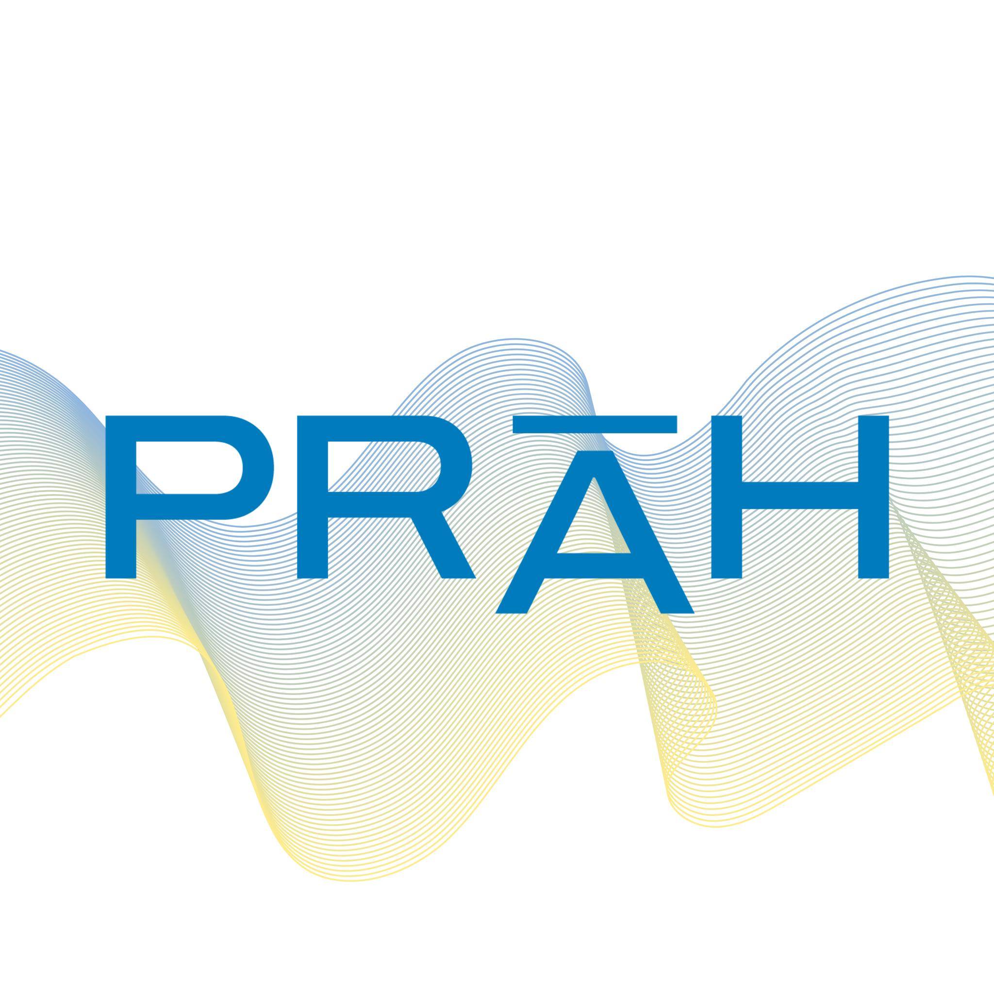 Více o organizaci Práh